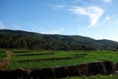 Naturen längs Naval-Caibiran Cross Country Road, Biliran.