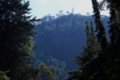 Kyrkan uppe på Monserrate peak synlig på promenaden ner till La Candelaria, Bogotá.