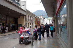 Gatuscen i La Candelaria, Bogotá.