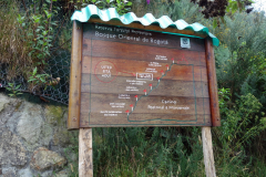 Leden upp till Monserrate Peak, Bogotá.