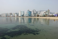 024-Busan-27-Mars-26