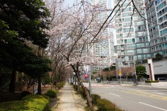 031-Busan-27-Mars-26