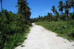 Vägen ner till Borromeo Beach, Pacijan.