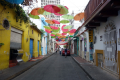 Gatuscen i Getsemani, Cartagena.