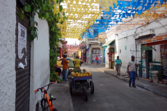 Gatuscen i Getsemani, Cartagena.