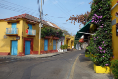 Gatuscen i Getsemani, Cartagena.