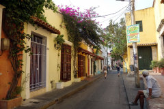 Gatuscen i Getsemani, Cartagena.