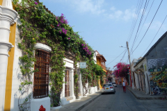 Gatuscen i Getsemani, Cartagena.