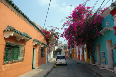 Gatuscen i Getsemani, Cartagena.