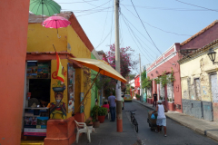 Gatuscen i Getsemani, Cartagena.