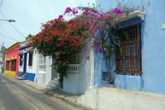 Gatuscen i gamla staden, Cartagena.