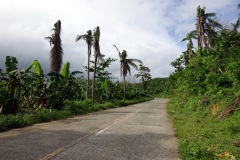 Palmer skadade av tyfoner nära Balacay Point, Catanduanes.