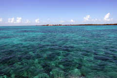 Utsikt över södra delen av Ambergris Caye från färjan. Vattnet är fantastiskt.