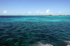 Utsikt över södra delen av Ambergris Caye från färjan. Vattnet är fantastiskt.