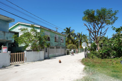 Charmiga Caye Caulker.