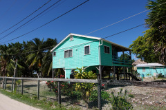 Charmiga Caye Caulker.