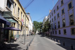 Gata i närheten av Garibaldi Plaza, Centro Histórico, Mexico City.