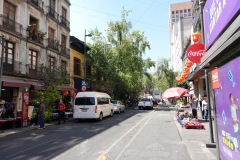 Gatuscen, Centro Histórico, Mexico City.