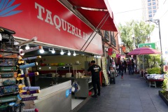 Gatuscen, Centro Histórico, Mexico City.