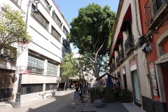 Scen längs trevliga gågatan Regina, Centro Histórico, Mexico City.