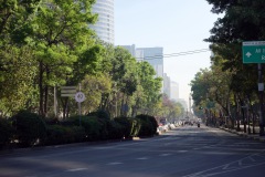 Av. P.º de la Reforma, Mexico City.