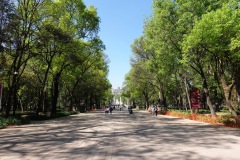 Bosque de Chapultepec, Mexico City.