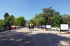 Bosque de Chapultepec, Mexico City.