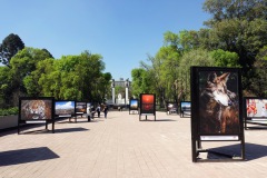 Bosque de Chapultepec, Mexico City.