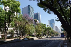 Gatuscen längs Av. P.º de la Reforma, Mexico City.