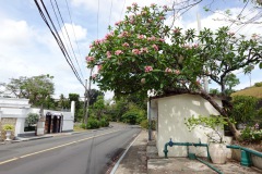 013-CebuCity-2-Feb-25