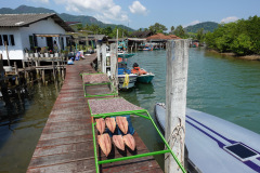 Bläckfisk och fisk på tork i den lilla byn i slutet av huvudvägen på den östra sidan av Koh Chang.