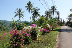 Huvudvägen längs den östra sidan av Koh Chang.