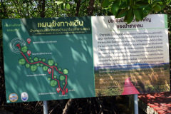 Salak Phet Mangrove Forest, Koh Chang.