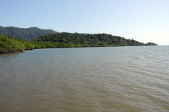 Salak Phet Mangrove Forest, Koh Chang.