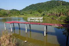 Bryggan vid Plai-na Coffee Hut, Salak Phet Mangrove Forest, Koh Chang.