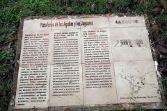 Beskrivning av Eagles and Jaguars Platform (Plataforma de las Águilas y los Jaguares), Chichén Itzá.