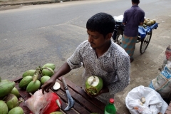 Försäljning av kokosnötter i centrala Chittagong.