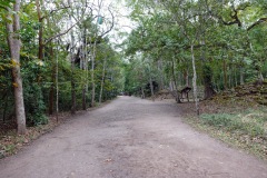 På väg mot mina första maya-ruiner i Honduras, Copán.