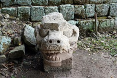 Ett huvud på marken i Copán.