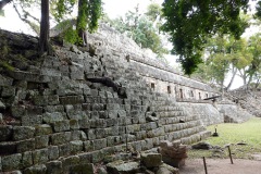 Enorma mängder sten i denna jättekonstruktion, Copán.