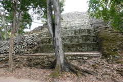 017-Copan-1-Feb-24