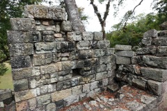 Fascinerande sniderier, Copán.