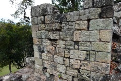 033-Copan-1-Feb-24