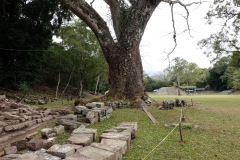 037-Copan-1-Feb-24