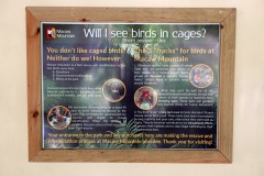 Macaw Mountain Bird Park & Nature Reserve utanför Copán Ruinas.