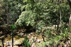 Macaw Mountain Bird Park & Nature Reserve utanför Copán Ruinas.
