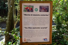 Macaw Mountain Bird Park & Nature Reserve utanför Copán Ruinas.