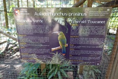 Macaw Mountain Bird Park & Nature Reserve utanför Copán Ruinas.
