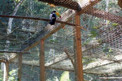 Macaw Mountain Bird Park & Nature Reserve utanför Copán Ruinas.