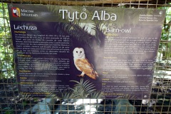 Macaw Mountain Bird Park & Nature Reserve utanför Copán Ruinas.